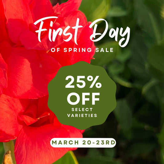 March Newsletter: First Day of Spring!