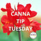 May 2023 Newsletter: Canna Tip Tuesdays
