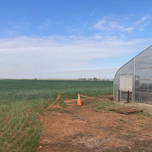 April 2024 Newsletter: Time to Plant for Zone 6, Planting the Farm Starts Today!
