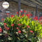 April Newsletter: Time to Plant in Zone 7