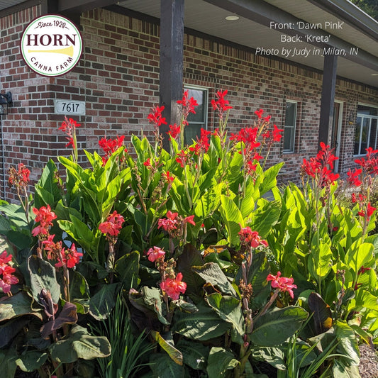 April Newsletter: Time to Plant in Zone 7