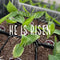 March 2024 Newsletter: Creative Combinations, Greenhouse Update, Zone 7 Time to Plant & More!