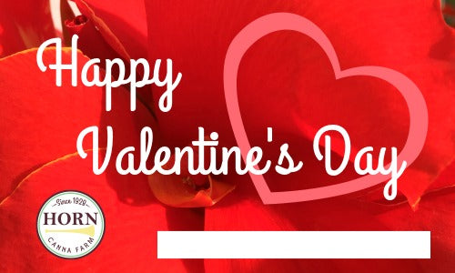 February 2020: Container Inspiration, Valentine's Gift Certificates, Snowing Today