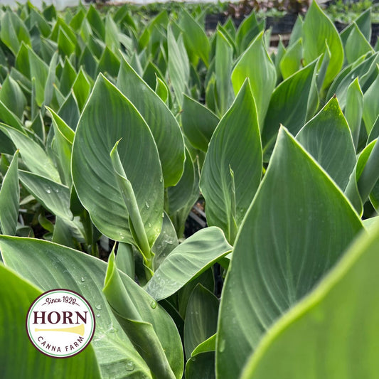April Newsletter: Helpful Tips, Farm Pictures & More!