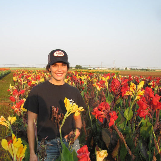 August 2022 Newsletter: September 1st Pre-Orders, Sunflowers at the Farm