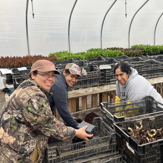 March 2024 Newsletter: Spring is Almost Here! Quick & Easy Info to Help Choose Your Planting Date
