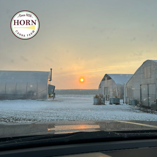 February Newsletter: Shipping Season Begins!