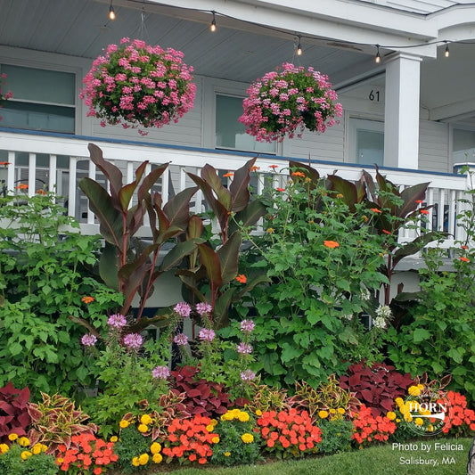 August Newsletter: Celebrating our Customers!