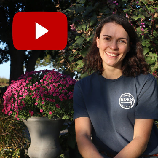October 2022 Newsletter: Almost Harvest, Overwintering Cannas with Madison