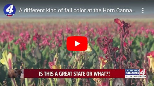KFOR: Is this a Great State or What!