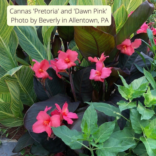 April 2023 Newsletter: Spring Planting, New Office Hours