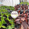 March 2023 Newsletter: Happy First Day of Spring!
