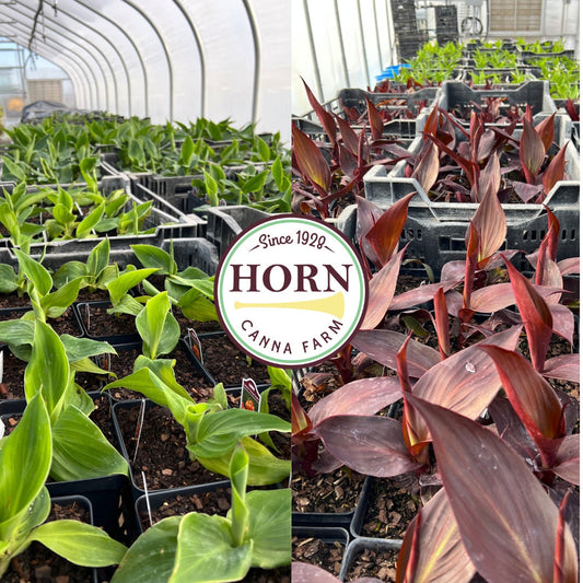 March 2023 Newsletter: Happy First Day of Spring!