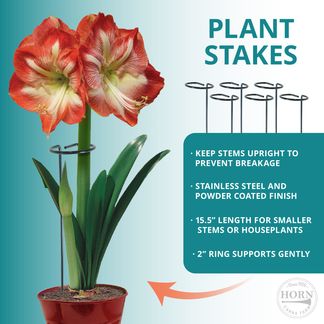 Plant Support Stakes - 1 Pack