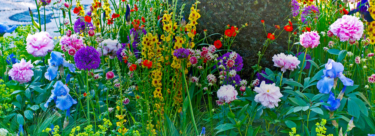 Horn Canna Farm, Inc.