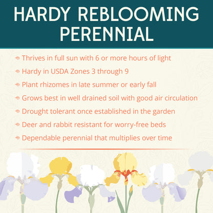 Bearded Iris Mix Reblooming Flower Bulbs (5-Pack)