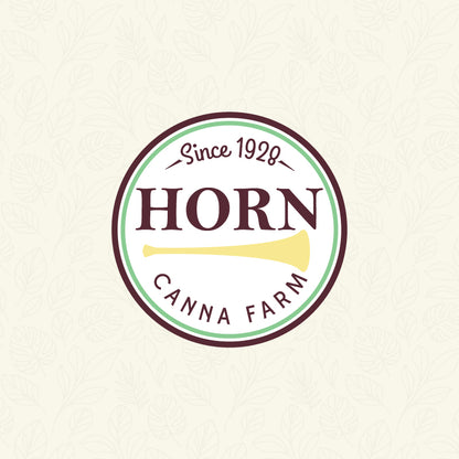 Natal Lily Pre-Potted Plant