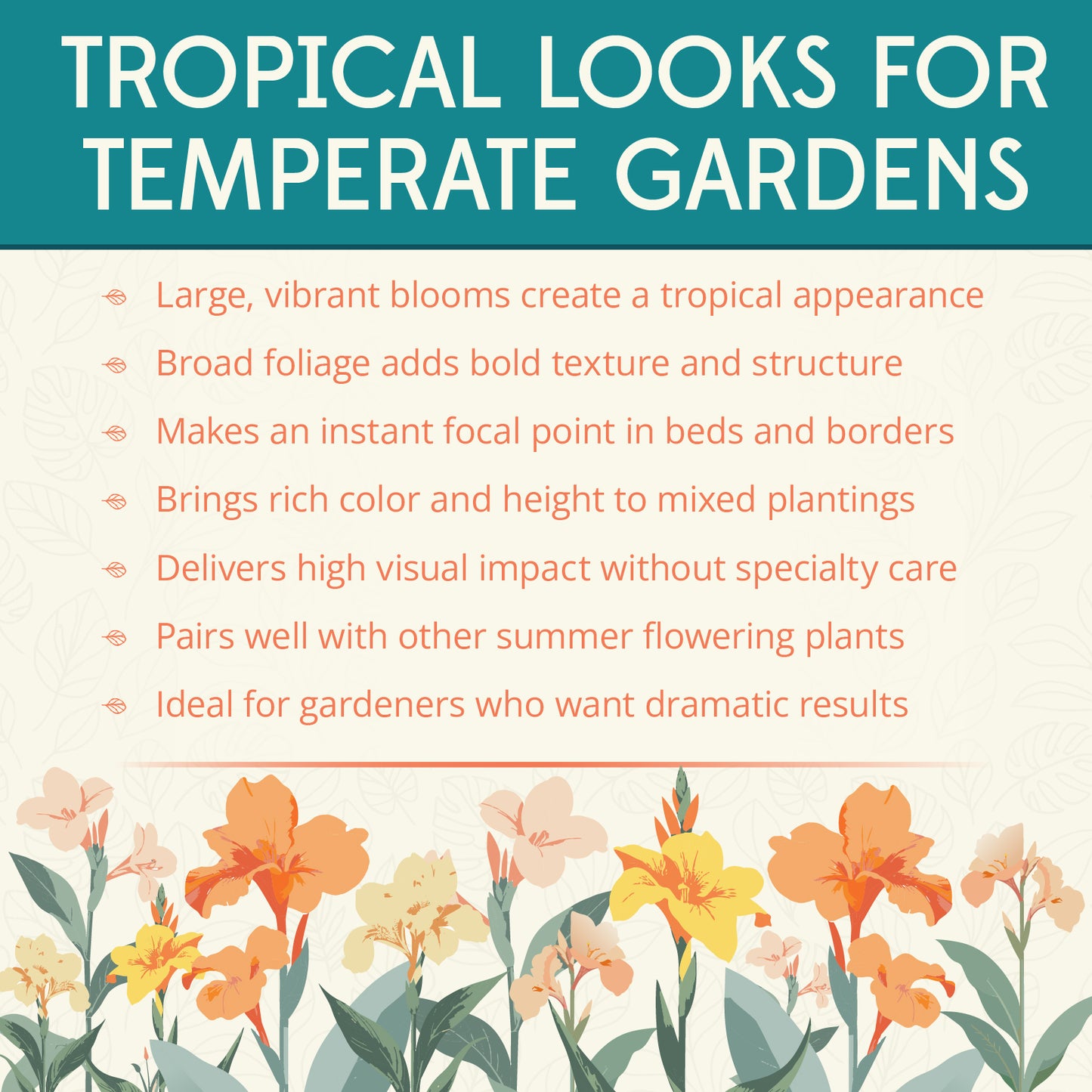 Wyoming Bulk 25-Pack Canna Flower Bulbs